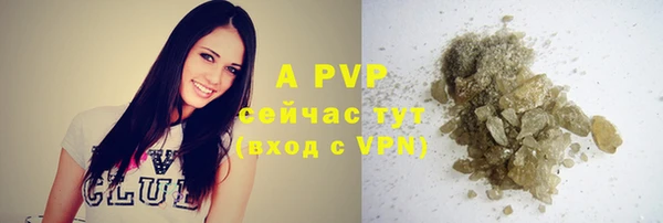 ECSTASY Мегион