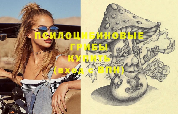 apvp Майский