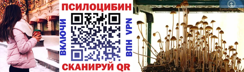 Псилоцибиновые грибы Cubensis  кракен tor  Шимановск 